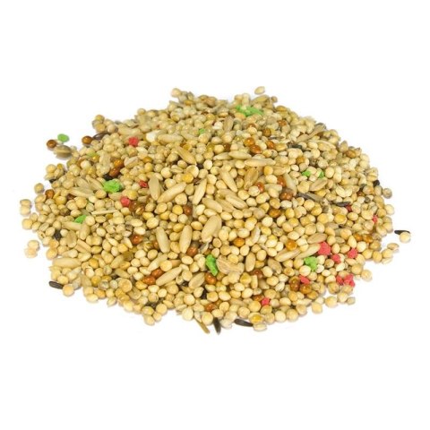 ARQUIVET Mieszanka dla ptaków 1 kg ARQUIVET Mieszanka dla ptaków 1 kg