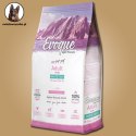 Evoque Adult Mini Biała Ryba Super Premium 2kg