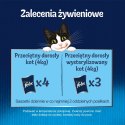 PURINA NESTLE FELIX Sensations wołowina, kurczak - mokra karma dla kota - 4x 85g