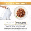 PURINA NESTLE GOURMET GOLD Wołowina z kurczakiem mix kawałków na parze i w sosie - mokra karma dla kota - 85 g