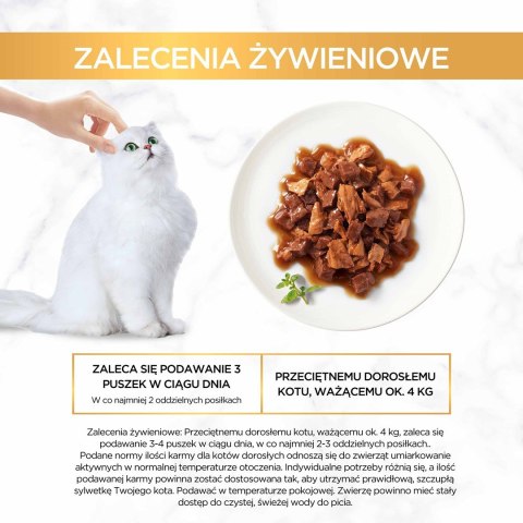 PURINA NESTLE Gourmet Gold mokra karma dla kota z kaczką i indykiem 85g PURINA NESTLE Gourmet Gold mokra karma dla kota z kaczką i indykiem 85g