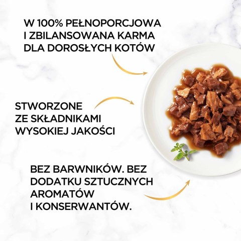 PURINA NESTLE Gourmet Gold mokra karma dla kota z kaczką i indykiem 85g PURINA NESTLE Gourmet Gold mokra karma dla kota z kaczką i indykiem 85g