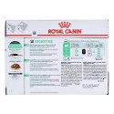 Royal Canin ROYAL CANIN FHN Digest Sensitive w sosie - mokra karma dla kota dorosłego - 12x85g