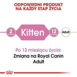 Royal Canin ROYAL CANIN FHN Kitten Instinctive in Jelly - mokra karma dla kociąt - 12x85g