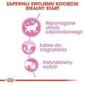 Royal Canin ROYAL CANIN FHN Kitten Instinctive in Jelly - mokra karma dla kociąt - 12x85g