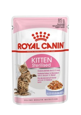 Royal Canin ROYAL CANIN FHN Kitten Sterilised w galaretce - mokra karma dla kociąt - 12x85g