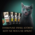 Sheba SHEBA Delicacy drobiowe smaki w galarecie- Drób - Mokra karma dla kota - 40x85g