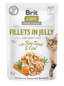 Brit BRIT Care Fillets in Jelly Flavour Box - mokra karma dla kota - 12 x 85 g