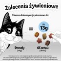 PURINA NESTLE FELIX Crispies Wołowina, Kurczak - przysmak dla kota - 45 g