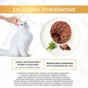 PURINA NESTLE Gourmet Gold Savoury Cake jagnięcina i zielona fasola - mokra karma dla kota - 85 g