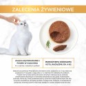 PURINA NESTLE PURINA Gourmet Gold Mus z wołowiną - mokra karma dla kota - 85 g