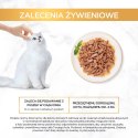 PURINA NESTLE PURINA Gourmet Gold Succulent Delights Kurczak - mokra karma dla kota - 85g