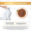 PURINA NESTLE PURINA Gourmet Gold Succulent Delights Wołowina - mokra karma dla kota - 85 g