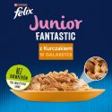 PURINA NESTLE Purina Felix Fantastic Junior Kurczak - mokra karma dla kota - 85 g