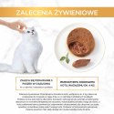 PURINA NESTLE Purina Gourmet Gold królik - mokra karma dla kota - 85 g