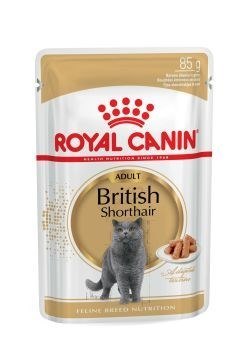 Royal Canin ROYAL CANIN FBN British Shorthair Adult - mokra karma dla dorosłego kota - 12x85g