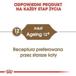 Royal Canin ROYAL CANIN FHN Ageing 12+ w galaretce - mokra karma dla kota starszego - 12x85g