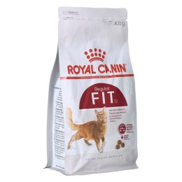 Royal Canin ROYAL CANIN FHN Regular Fit 32 - sucha karma dla kota dorosłego - 400 g