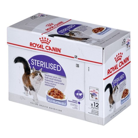 Royal Canin ROYAL CANIN FHN Sterilised w galaretce - mokra karma dla kota dorosłego - 12x85g