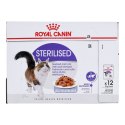 Royal Canin ROYAL CANIN FHN Sterilised w galaretce - mokra karma dla kota dorosłego - 12x85g