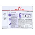 Royal Canin ROYAL CANIN FHN Sterilised w galaretce - mokra karma dla kota dorosłego - 12x85g