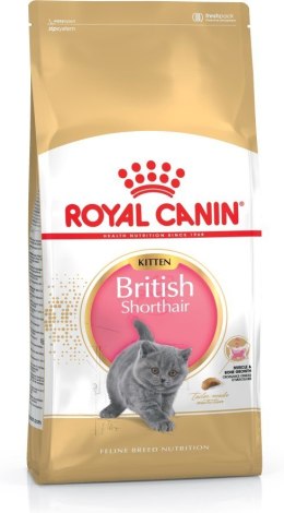 Royal Canin Royal Canin FBN British Shorthair Kitten - sucha karma dla kociąt - 2 kg