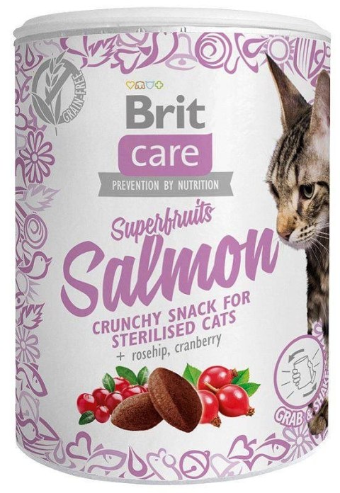 Brit Brit Care Cat Snack Superfruits Salmon - przysmak dla kota - 100 g