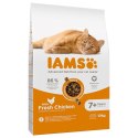 IAMS IAMS Vitality Senior - sucha karma dla kota - 10 kg