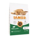 IAMS IAMS Vitality cat adult lamb - sucha karma dla kota - 10 kg