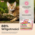 INABA INABA CAT CHURU VARIETIES tuńczyk - przysmak dla kota 60 x 14 g