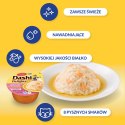 INABA INABA DASHI DELIGHTS Łosoś 70g bulion dla kota