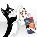 PURINA NESTLE FELIX Party Mix Grill 60g