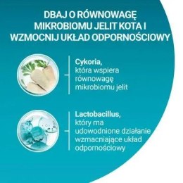 PURINA NESTLE PURINA ONE Sterilcat Wołowina 9,75kg