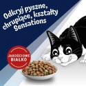 PURINA NESTLE Purina FELIX Countryside Sensations Wołowina 1kg