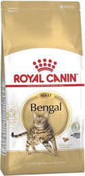 Royal Canin ROYAL CANIN Bengal Adult - sucha karma dla dorosłego kota - 10 kg