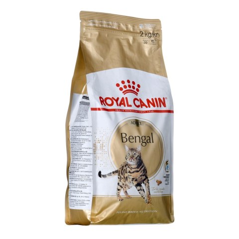 Royal Canin ROYAL CANIN Bengal Adult - sucha karma dla dorosłego kota - 2 kg Royal Canin ROYAL CANIN Bengal Adult - sucha karma dla dorosłego kota - 2 kg