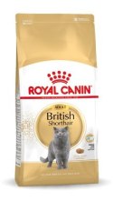 Royal Canin ROYAL CANIN FBN British Shorthair Adult - sucha karma dla dorosłego kota - 10kg