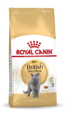 Royal Canin ROYAL CANIN FBN British Shorthair Adult - sucha karma dla dorosłego kota - 10kg