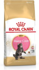 Royal Canin ROYAL CANIN FBN Maine Coon Kitten - sucha karma dla kociąt - 4kg