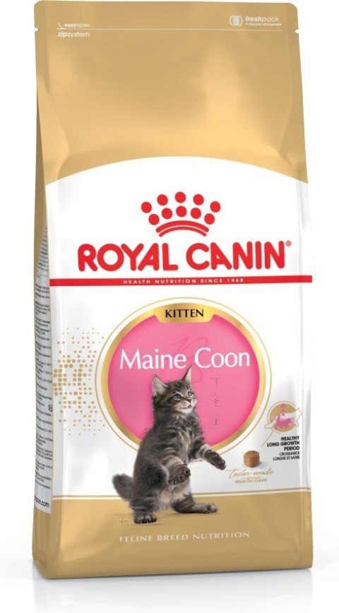 Royal Canin ROYAL CANIN FBN Maine Coon Kitten - sucha karma dla kociąt - 4kg