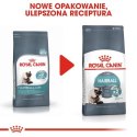 Royal Canin ROYAL CANIN FCN Hairball Care - sucha karma dla kota dorosłego - 10 kg