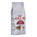 Royal Canin ROYAL CANIN FHN Regular Fit 32 - sucha karma dla kota dorosłego - 2 kg