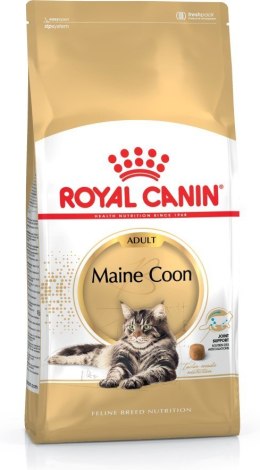 Royal Canin Royal Canin FBN Maine Coon Adult - sucha karma dla kota dorosłego - 4kg