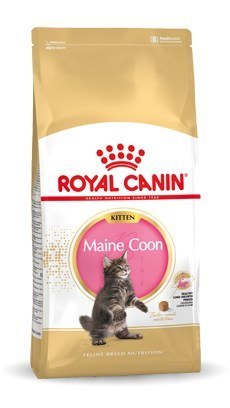 Royal Canin Royal Canin FBN Maine Coon Kitten - sucha karma dla kociąt - 10kg