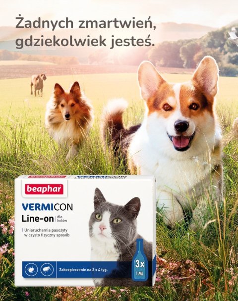 Beaphar BEAPHAR VERMIcon Line-on Cat - krople przeciw pasożytom dla kota - 3x 1ml Beaphar BEAPHAR VERMIcon Line-on Cat - krople przeciw pasożytom dla kota - 3x 1ml