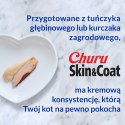 INABA INABA Churu Skin&Coat Kurczak - przysmak dla kota - 4x14 g