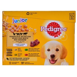 Pedigree PEDIGREE Junior Wybór smaków w galaretce - mokra karma dla psa - 12x100 g