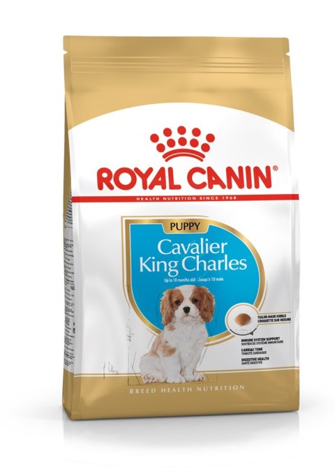 Royal Canin ROYAL CANIN BHN Cavalier King Charles Spaniel Puppy - sucha karma dla szczeniąt - 1,5 kg