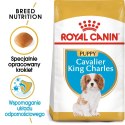 Royal Canin ROYAL CANIN BHN Cavalier King Charles Spaniel Puppy - sucha karma dla szczeniąt - 1,5 kg