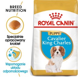 Royal Canin ROYAL CANIN BHN Cavalier King Charles Spaniel Puppy - sucha karma dla szczeniąt - 1,5 kg